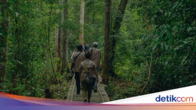 With the knowledge of Rimba Raya, the first RedD+ project in the world is ratified 17 SDGs