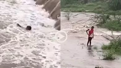 Madhya Pradesh Dhar: drunk young man tried to cross the swollen river, video became on social media viral