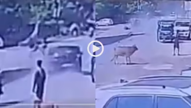 A high -speed car hit the cyclist in Korba, video -viral on social media