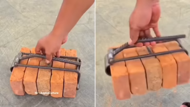 This Jugaad should not go out of India! The person lifted 5 bricks with one hand and watched the viral video, people said, “Wow brother!”