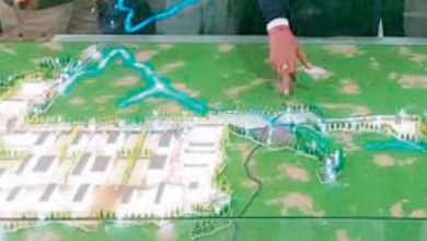 Sagal India gets a project for the construction of bulk drug park in Haroli, Una