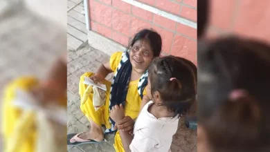 Terror of stray dogs in Yamunanagar, three -year -old Kanjak worship -stripped dogs bitten a three -year -old girl in Yamunanagar as she goes to a puja