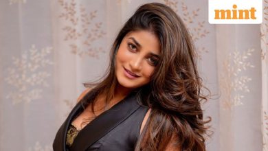 Telugu actress Dimple Hayathi, man discussed for assaulting home help, tries to film her naked video