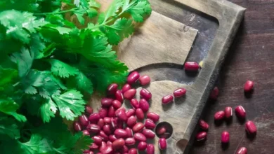 فوائد الفاصولياء الحمراء لا تقدر بثمن