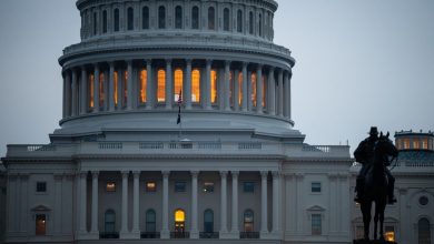The closure of the US government … investment opportunities amid federal paralysis