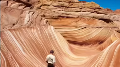 You won’t know about this world’s basic places