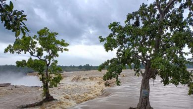 The body of the 17 -year -old daughter was thrown into the river, the father, angry with the cause, evidence wiped out; Dead body found after 5 days