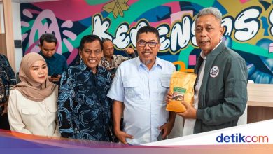 Discussion with the Regent of Jember & Buol, emphasizes wamensos the update of DTSEN