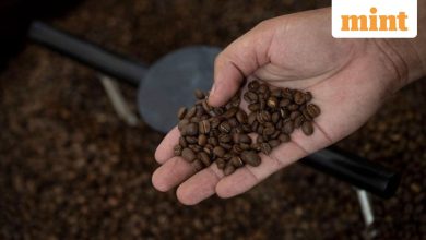 International Coffee Day: How the popular caffeinated drink affects your bowel health – explain