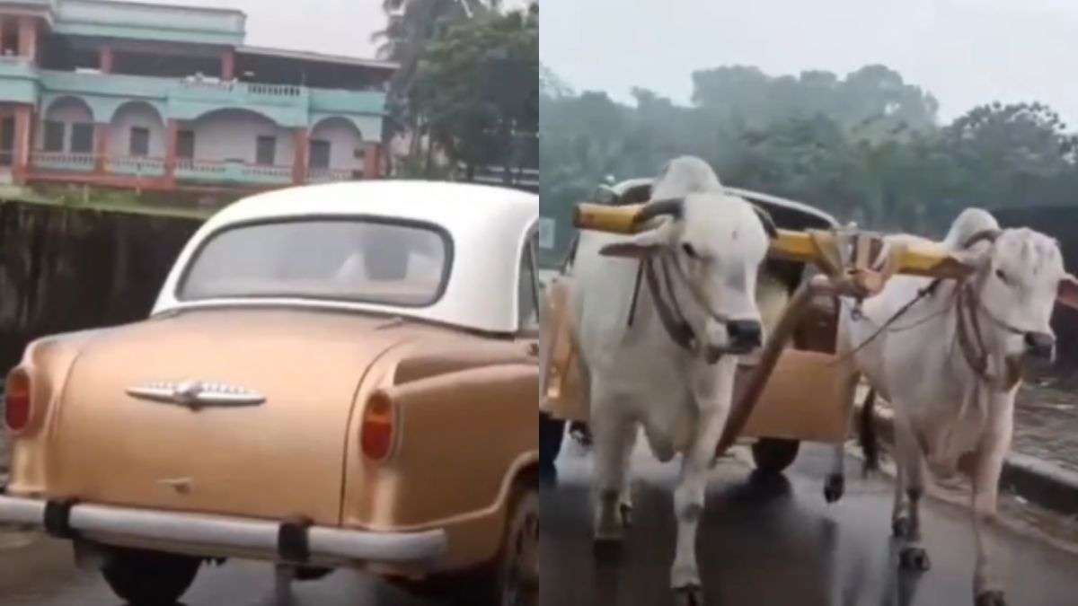 Jugadoo artists are hidden in every corner of India! If you watch the viral video on social media, you will also say, ‘Wow! What are the thoughts of brother … ‘