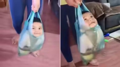 The innocence of this girl won the hearts of people on social media, you will also lose heart by watching viral video