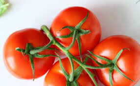 Red fruits and yellow -white seeds of tomatoes: know scientific reasons