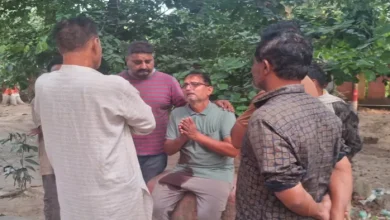 The high velocity destroyed three families …