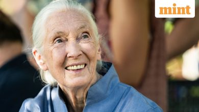 Jane Goodall, legendary conservationist and chimpanzee researcher dies at 91