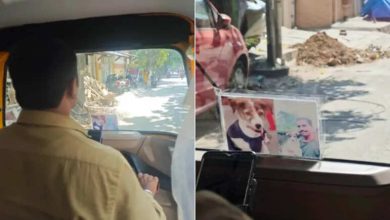 Cute act of car driver in Bengaluru, a photo of late pet dog always