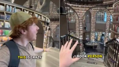 Amazing Library of China: American Vloggers also stunned by seeing the Sea of ​​Books