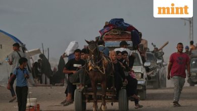 ‘This is the last opportunity’ – Israel warns residents of Gaza while IDF closes on the city