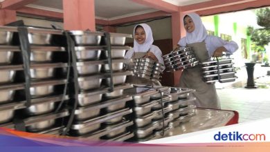 Senayan Criticism on MBG: Starting to disturb statistics