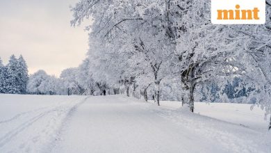 US Winter Againing Advice: Snow 3-5 inches expected near Alaska in Upper Chena River Valley and Chena Hot Springs