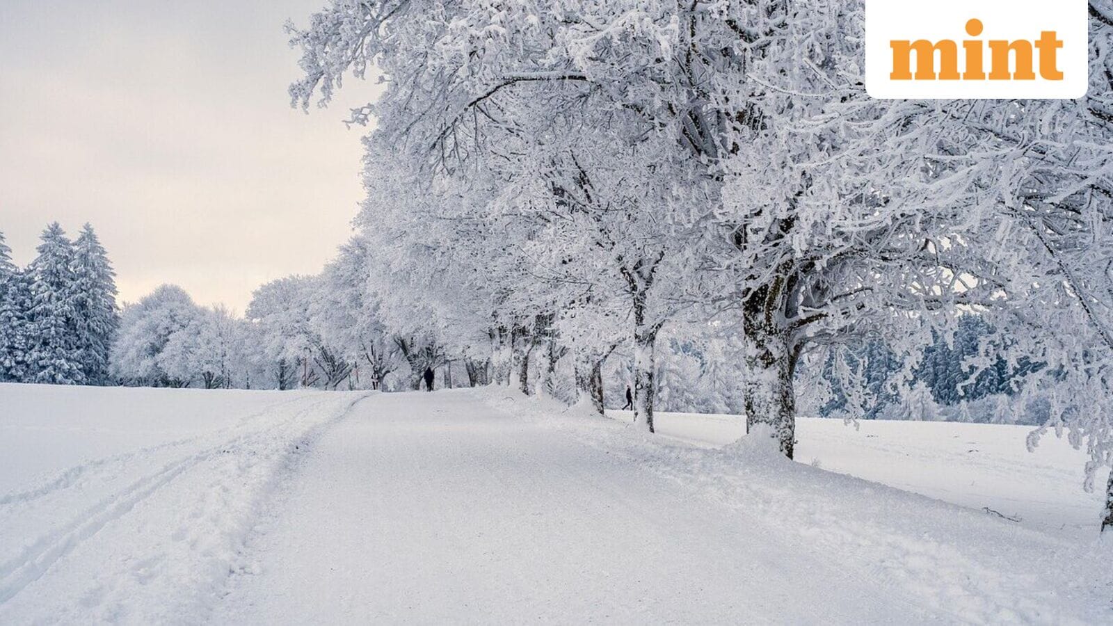 US Winter Againing Advice: Snow 3-5 inches expected near Alaska in Upper Chena River Valley and Chena Hot Springs