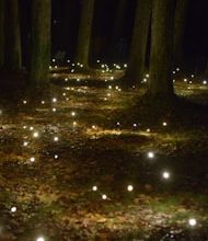 Where do lights come from?