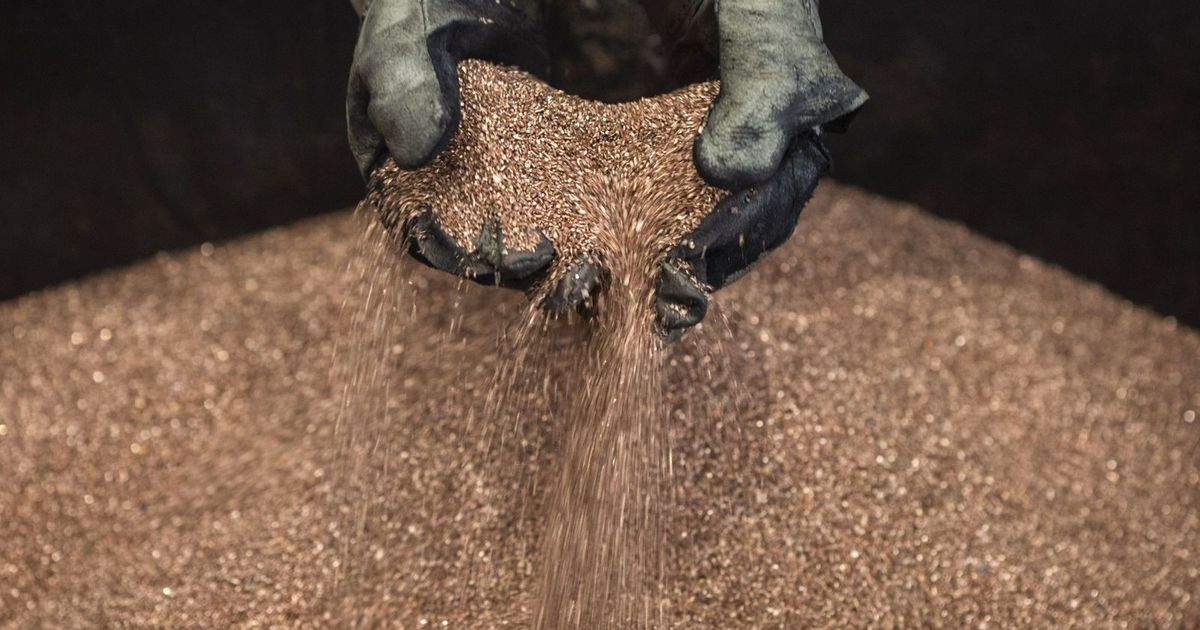 The rise in the price of copper gain momentum amid the fear of supplies and the weakness of the dollar