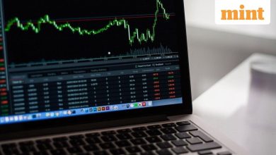 175% rally in six months! What is the share price of Netweb Technologies?