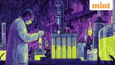 India betting £ 5,000 to transform pharmaceutical R&D. See what that means