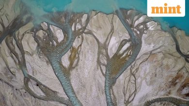 The climate needs a politics of the possible