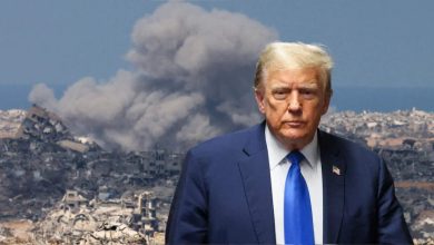 Do you know how effective the peace proposal of US President Trump to stop the war of Israel and Hamas?