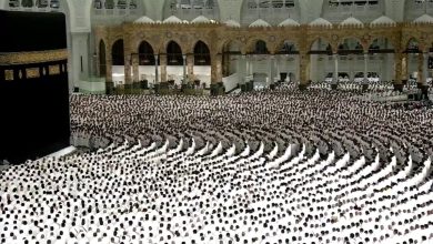“ربنا أبصرنا وسمعنا فارجعنا نعمل صالحا”… تلاوة خاشعة تبعث التأمل والتدبر بصوت الشيخ عبد الله…