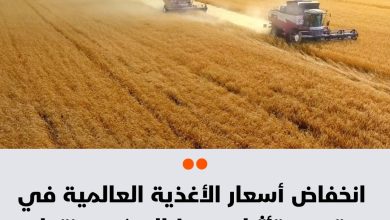 انخفضت أسعار السلع الغذائية العالمية في سبتمبر متأثرة بهبوط أسعار السكر ومنتجات الألبان، بحسب…