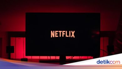 Commission I of the DPR asks Netflix not to show LGBT content in Indonesia