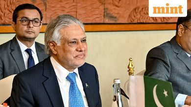 Days after Trump Pakistan came, FM Dar says Gaza plan is different from the proposal of the Muslim nations