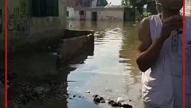 معاناة المنوفية تزداد بسبب ارتفاع منسوب النيل والأهالي: أولادنا بيلبسوا في الشارع.. والمياه…