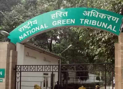Switching by Steel Plant, NGT Notice to the Government of Odisha, Collector