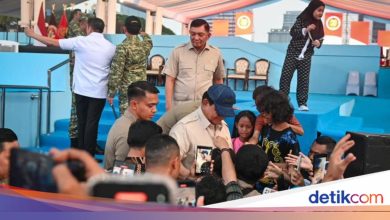 Prabowo assesses the preparation of the 80th anniversary of the TNI best year in Monas