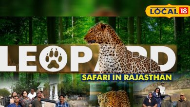 Success Story: Rajendra Singh, star manager of Jawai Leopard Safari, from leaders to actors