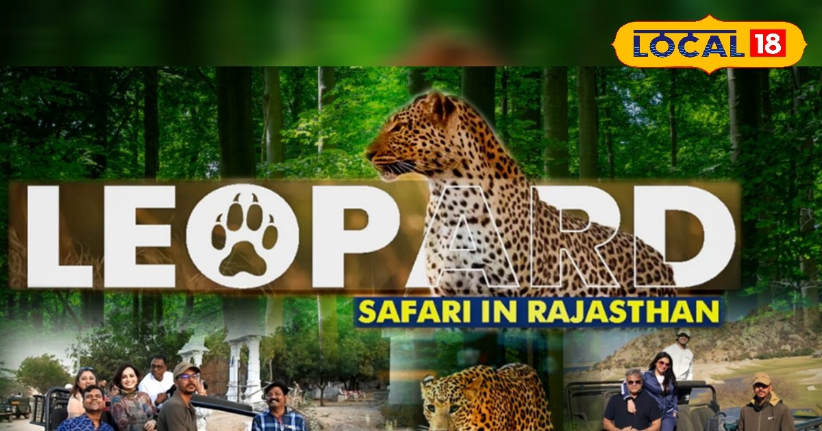 Success Story: Rajendra Singh, star manager of Jawai Leopard Safari, from leaders to actors
