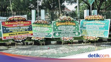 Cliffs of flowers surrounded by decorative PPP DPP offices to Mardiono are legal to be ketum
