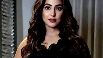 These are the lives of Hina Khan!