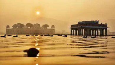 If you last Sunday, give happiness and prosperity, know the right way to worship the sun