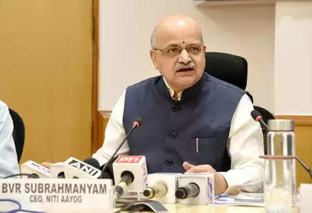 Stable and Pre -Tax Policy Development: CEO of Niti Aayog