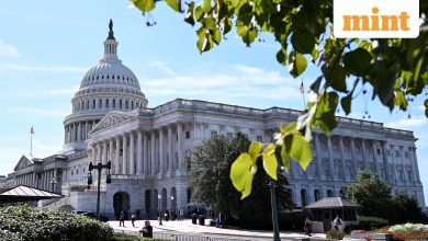 Shoundows lays the latest crisis of Bare America: a total collapse in Trust