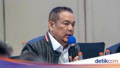 PDIP -Druilding delays in the issuance of PP of the latest Minerba Act