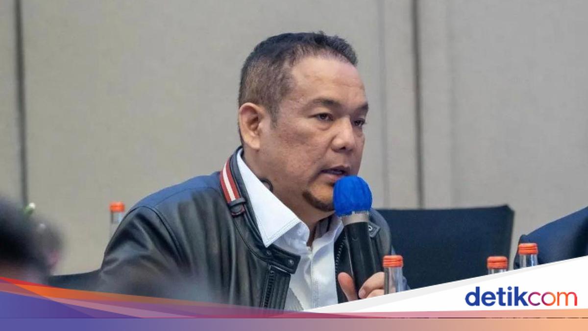 PDIP -Druilding delays in the issuance of PP of the latest Minerba Act