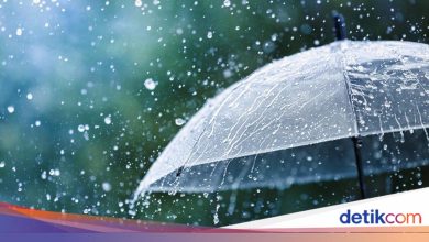 Heavy rains accompanied by strong winds damaged 14 houses in Sukamantri Bogor