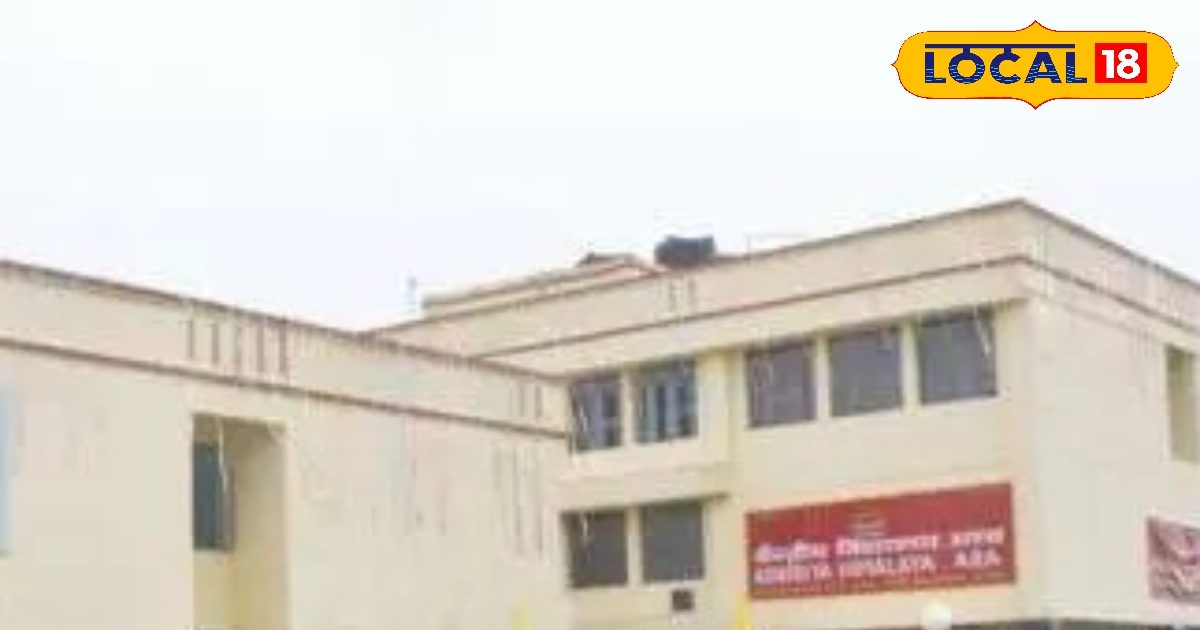 Ara opens on 8 hectares in macaw, second Kendriya Vidyalaya, selected