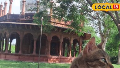 Kali Masjid from Agra, where ghosts walk around! Dogs, cats and monkeys, friends, the grave fulfills the grave