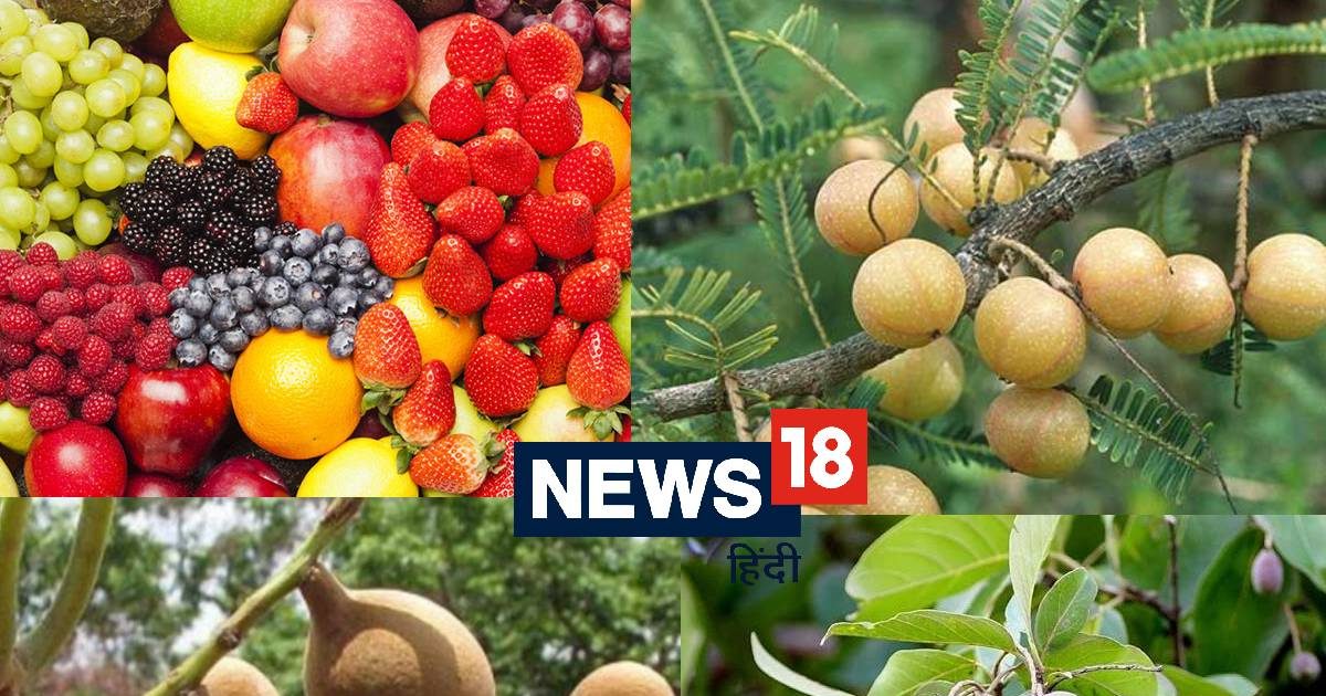 These 3 fruits are the most powerful, their powder becomes a disease of diseases, and doctors have also accepted a miracle